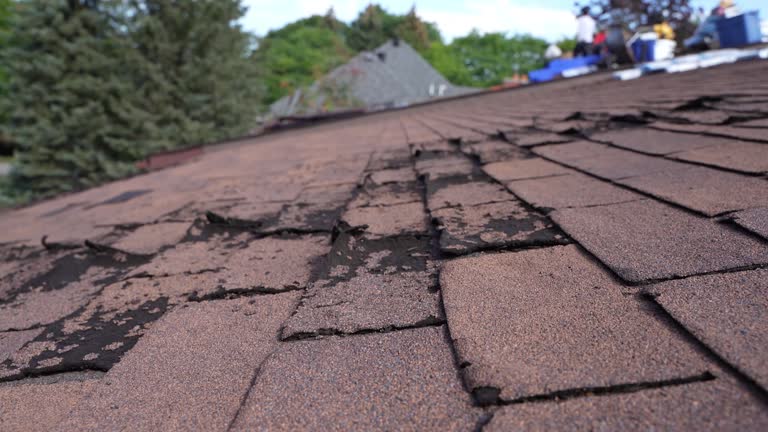 Best Storm Damage Roof Repair  in Galveston, TX