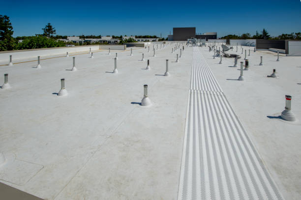 Best Slate Roofing  in Galveston, TX